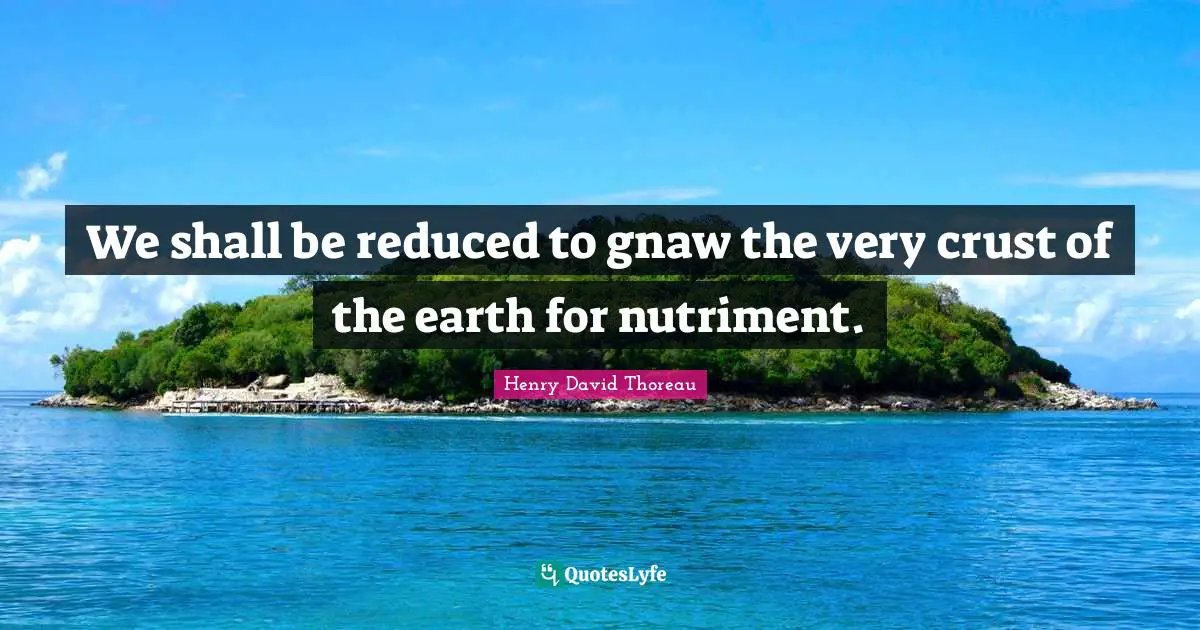 We shall be reduced to gnaw the very crust of the earth for nutriment.