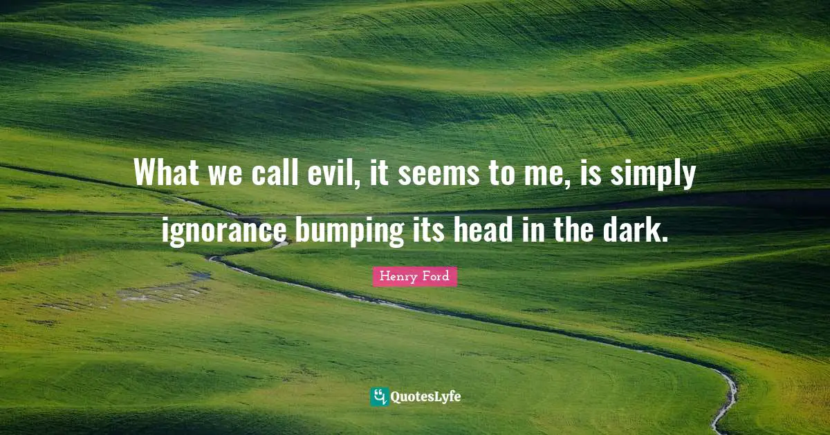 What we call evil, it seems to me, is simply ignorance bumping its head in the dark.