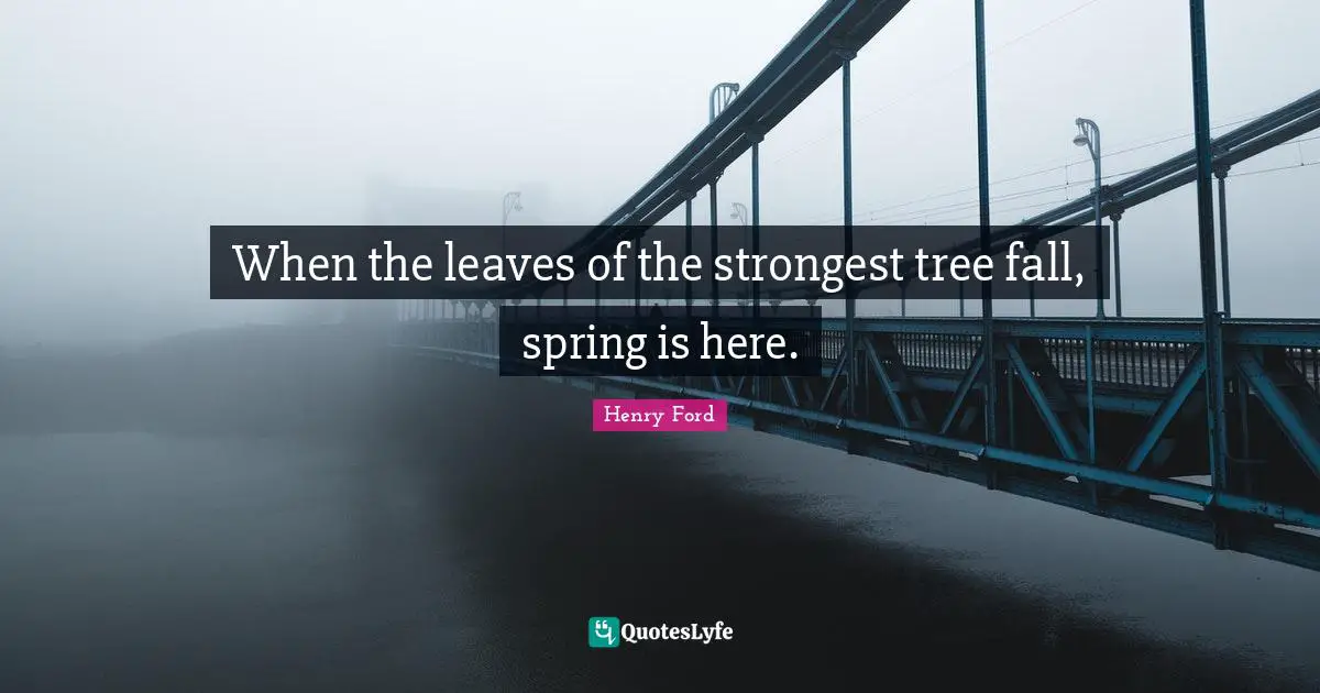 When the leaves of the strongest tree fall, spring is here.