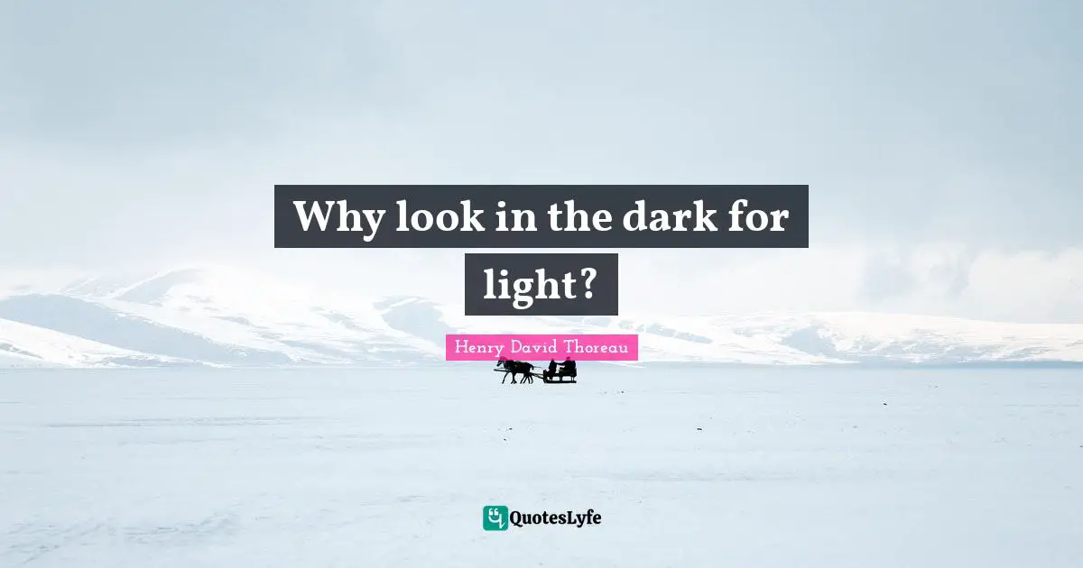 Why look in the dark for light?