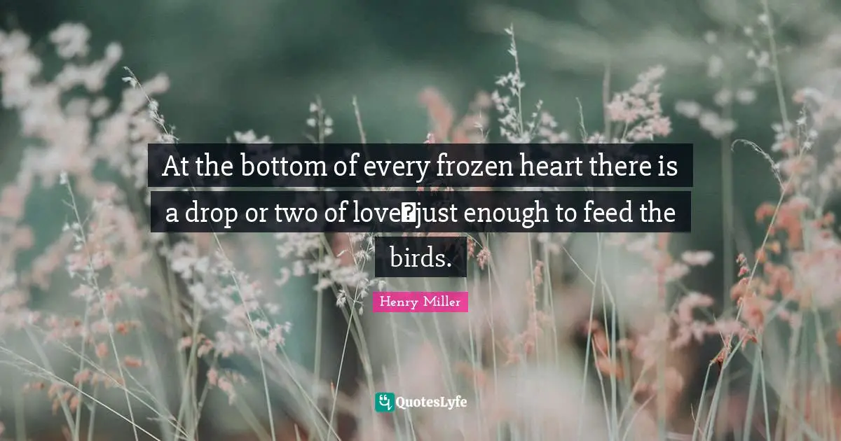 At the bottom of every frozen heart there is a drop or two of love―just enough to feed the birds.