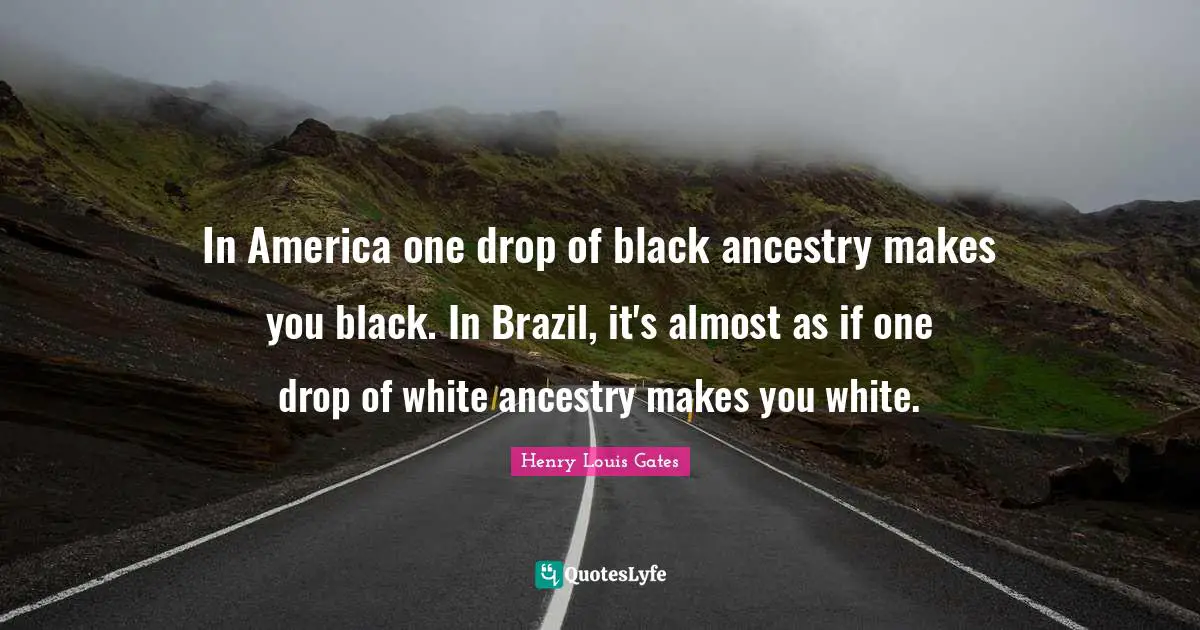 In America one drop of black ancestry makes you black. In Brazil, it's almost as if one drop of white ancestry makes you white.