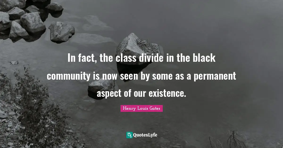 In fact, the class divide in the black community is now seen by some as a permanent aspect of our existence.