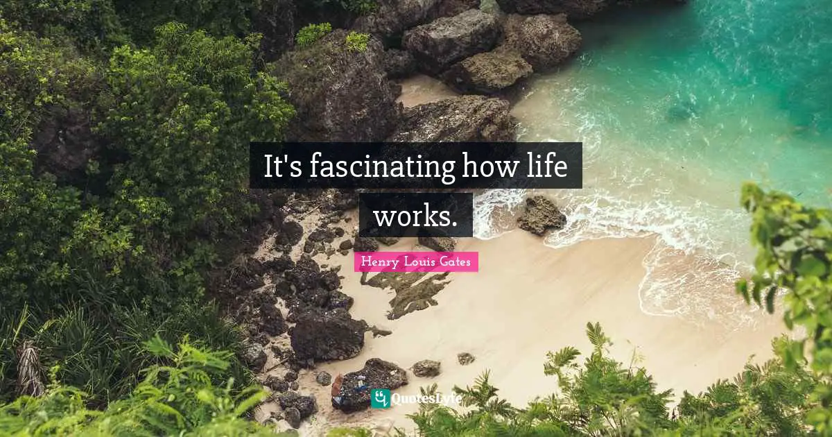 It's fascinating how life works.