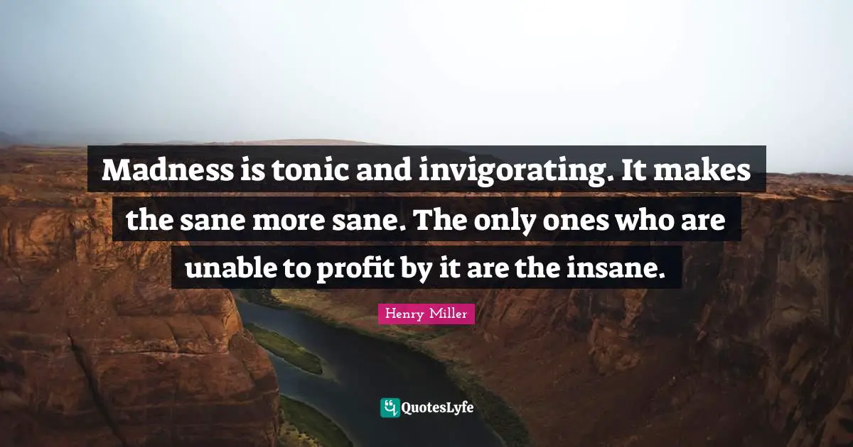 Madness is tonic and invigorating. It makes the sane more sane. The only ones who are unable to profit by it are the insane.