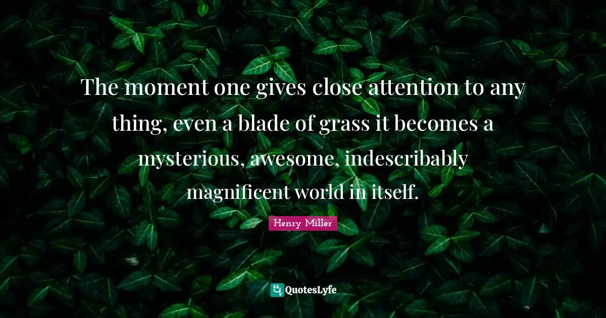 Henry Miller Quotes: The moment one gives close attention to any thing, even a blade of grass it becomes a mysterious, awesome, indescribably magnificent world in itself.