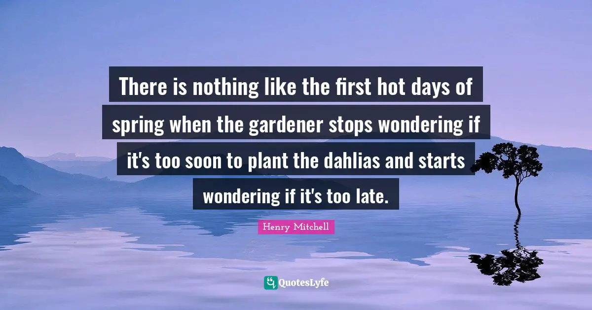 There is nothing like the first hot days of spring when the gardener stops wondering if it's too soon to plant the dahlias and starts wondering if it's too late.