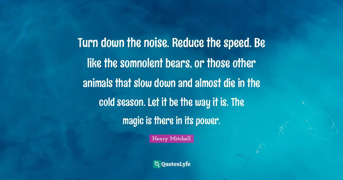 Turn down the noise. Reduce the speed. Be like the somnolent bears, or those other animals that slow down and almost die in the cold season. Let it be the way it is. The magic is there in its power.