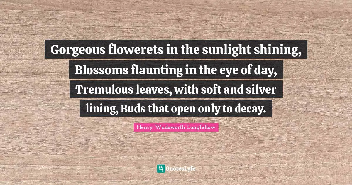 Henry Wadsworth Longfellow Quotes: "Gorgeous flowerets in the sunlight shining, Blossoms flaunting in the eye of day, Tremulous leaves, with soft and silver lining, Buds that open only to decay."