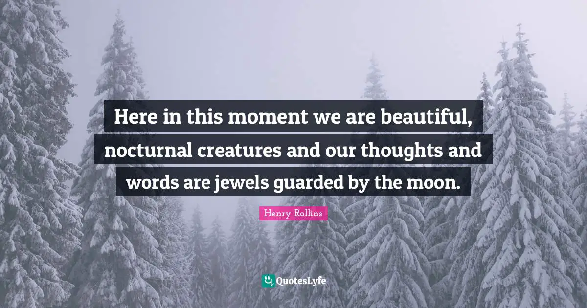 Guarded Quotes: "Here in this moment we are beautiful, nocturnal creatures and our thoughts and words are jewels guarded by the moon."