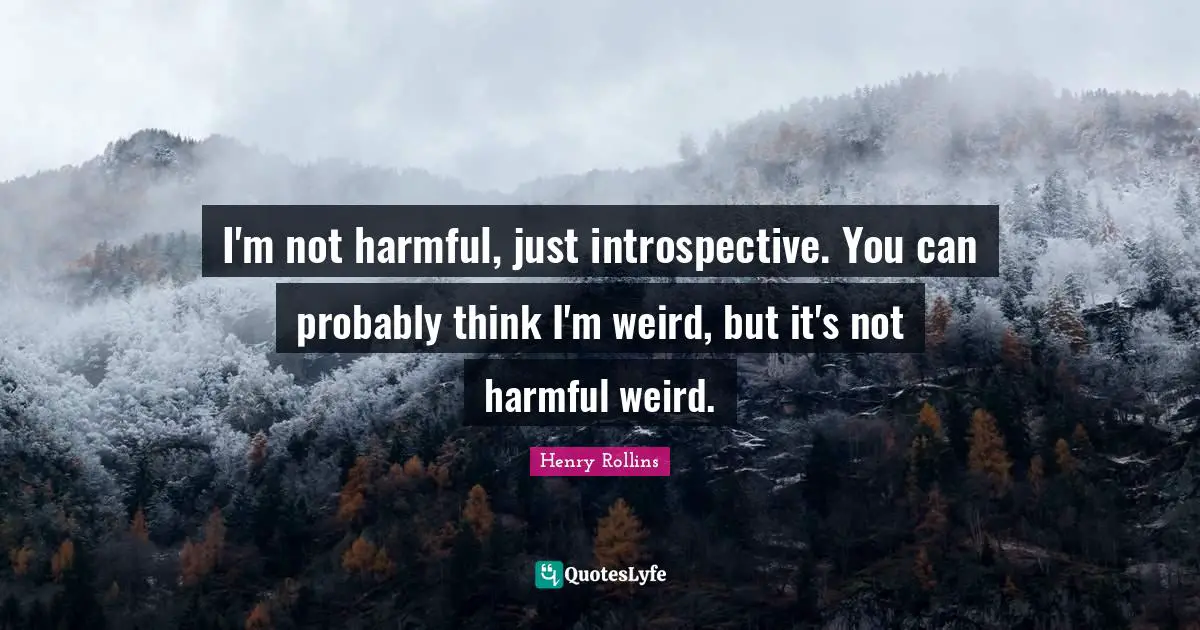I'm not harmful, just introspective. You can probably think I'm weird, but it's not harmful weird.