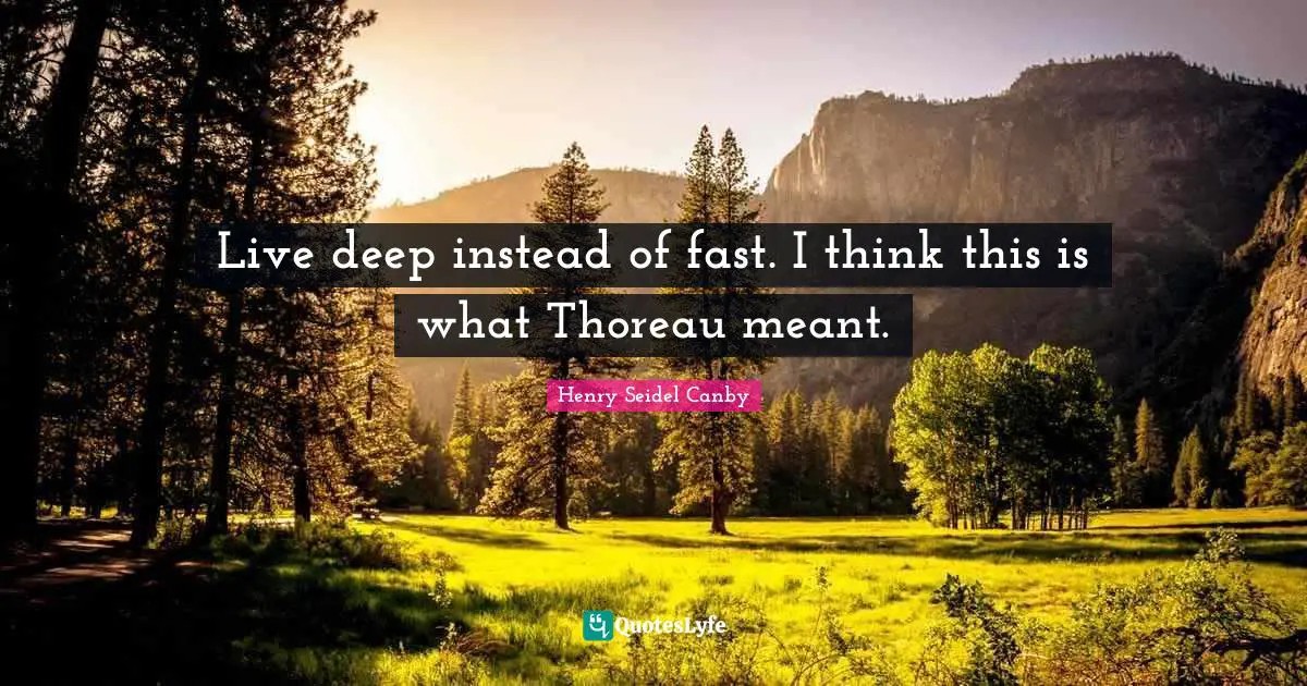 Live deep instead of fast. I think this is what Thoreau meant.