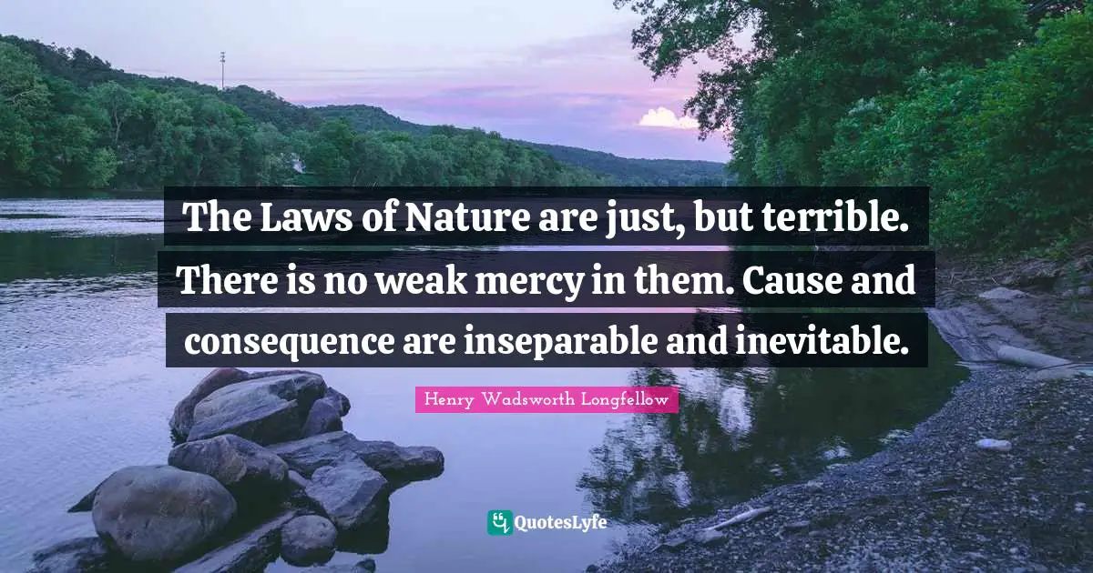 The Laws of Nature are just, but terrible. There is no weak mercy in them. Cause and consequence are inseparable and inevitable.