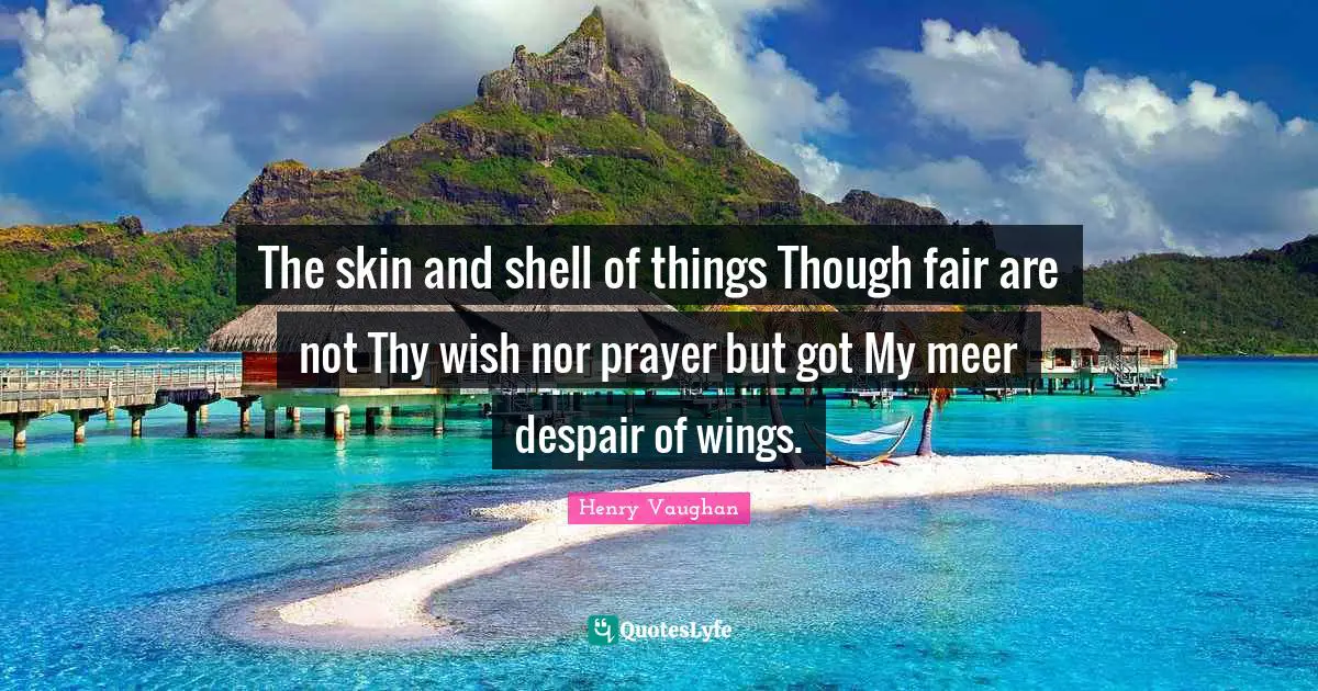 The skin and shell of things Though fair are not Thy wish nor prayer but got My meer despair of wings.