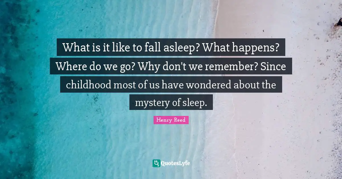 What is it like to fall asleep? What happens? Where do we go? Why don't we remember? Since childhood most of us have wondered about the mystery of sleep.