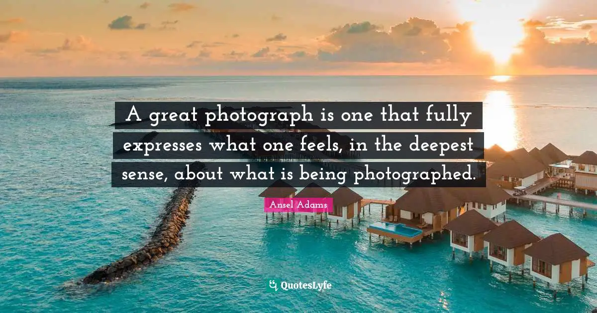 A great photograph is one that fully expresses what one feels, in the deepest sense, about what is being photographed.