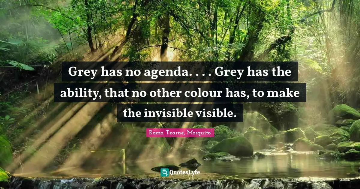 Grey has no agenda. . . . Grey has the ability, that no other colour has, to make the invisible visible.
