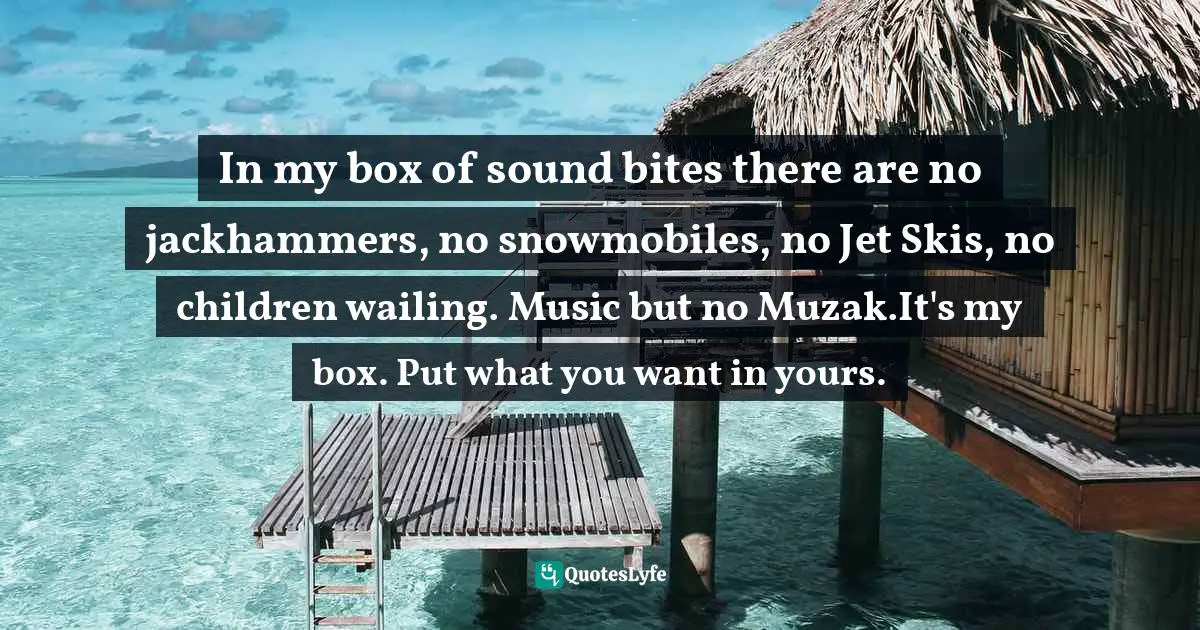 In my box of sound bites there are no jackhammers, no snowmobiles, no Jet Skis, no children wailing. Music but no Muzak.It's my box. Put what you want in yours.