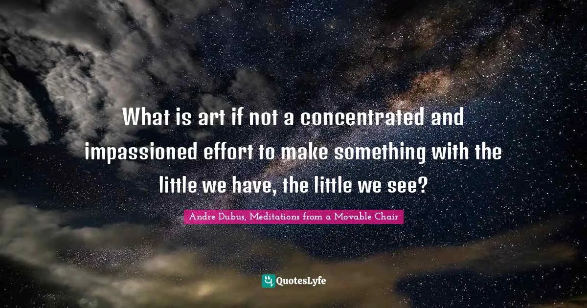What is art if not a concentrated and impassioned effort to make something with the little we have, the little we see?
