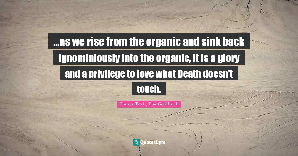 ...as we rise from the organic and sink back ignominiously into the organic, it is a glory and a privilege to love what Death doesn't touch.