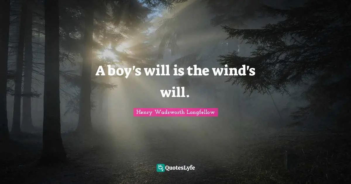 A boy's will is the wind's will.