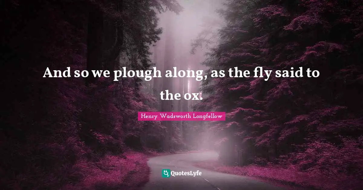 And so we plough along, as the fly said to the ox.