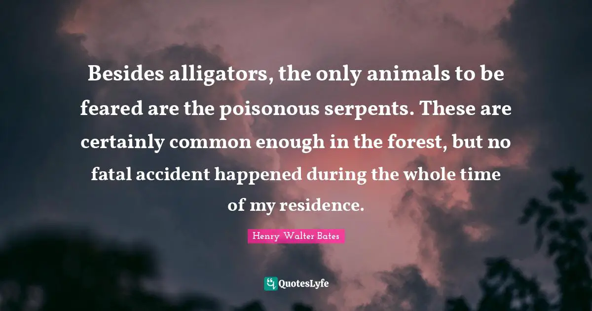 Residence Quotes: "Besides alligators, the only animals to be feared are the poisonous serpents. These are certainly common enough in the forest, but no fatal accident happened during the whole time of my residence."