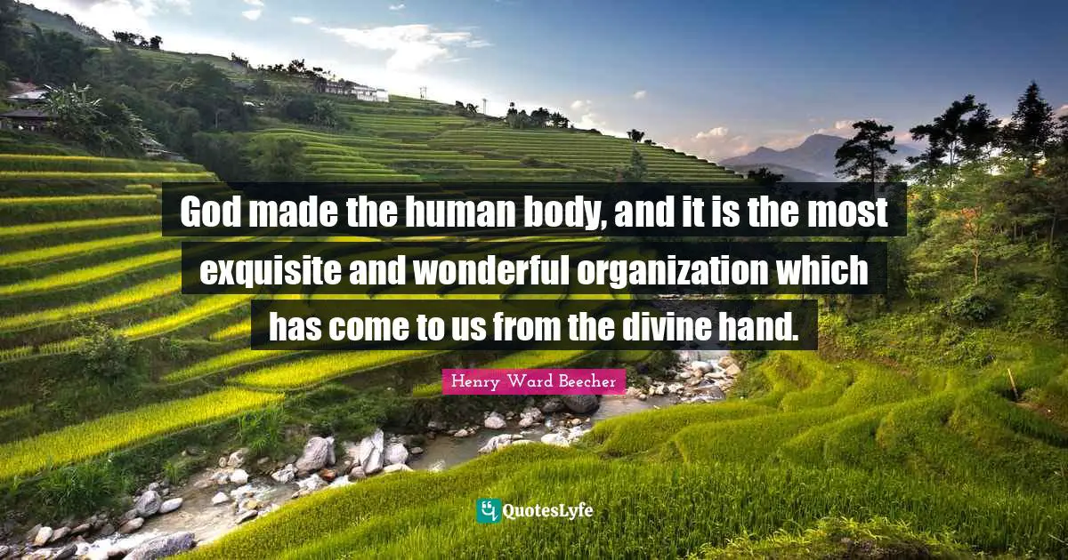 God made the human body, and it is the most exquisite and wonderful organization which has come to us from the divine hand.