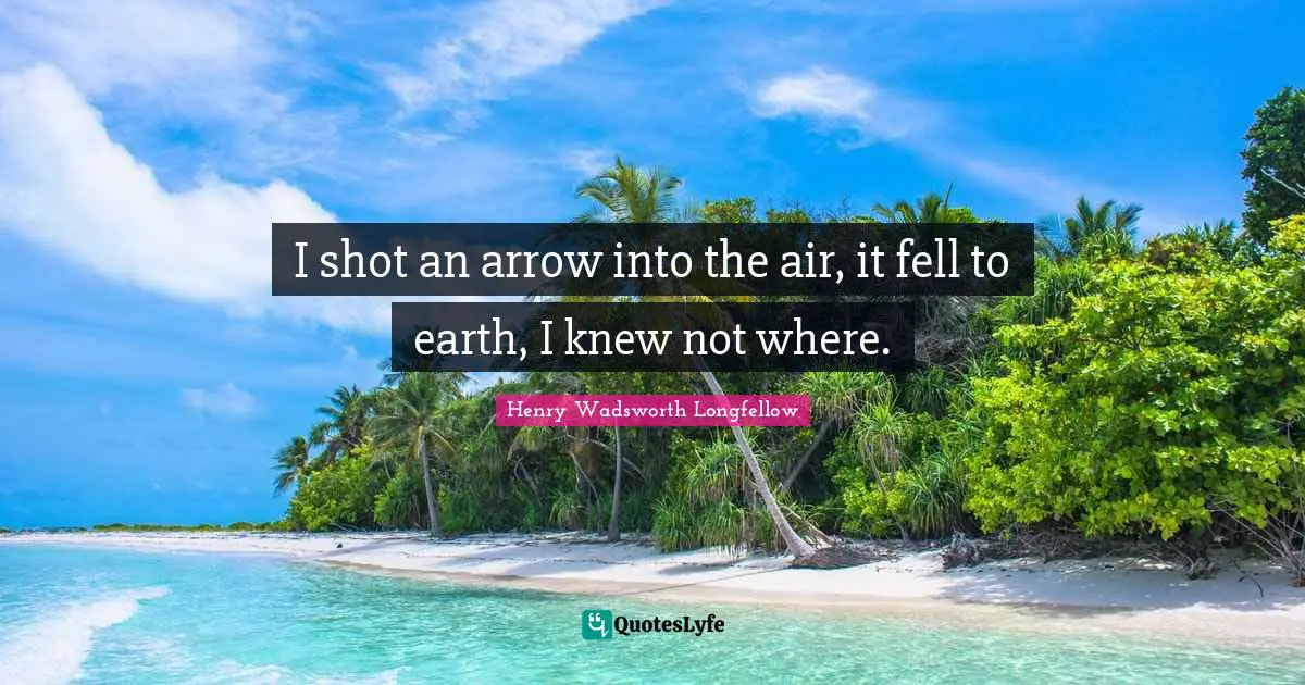I shot an arrow into the air, it fell to earth, I knew not where.