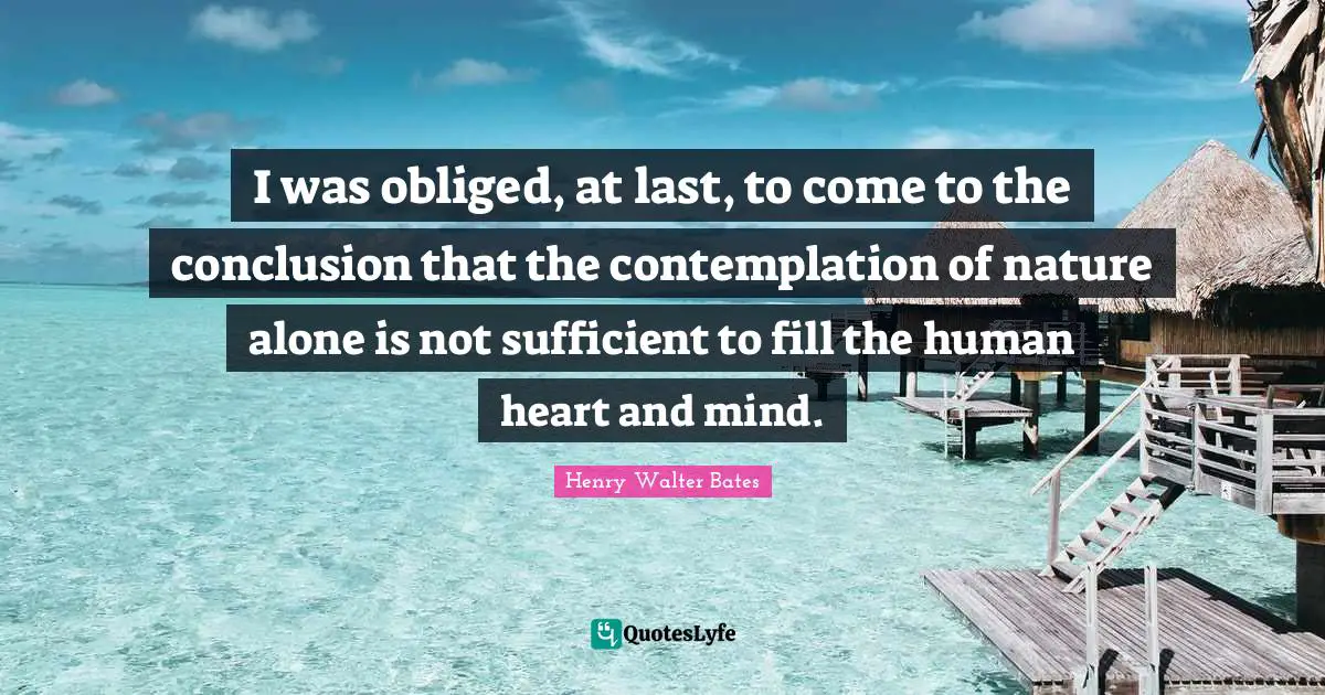 I was obliged, at last, to come to the conclusion that the contemplation of nature alone is not sufficient to fill the human heart and mind.