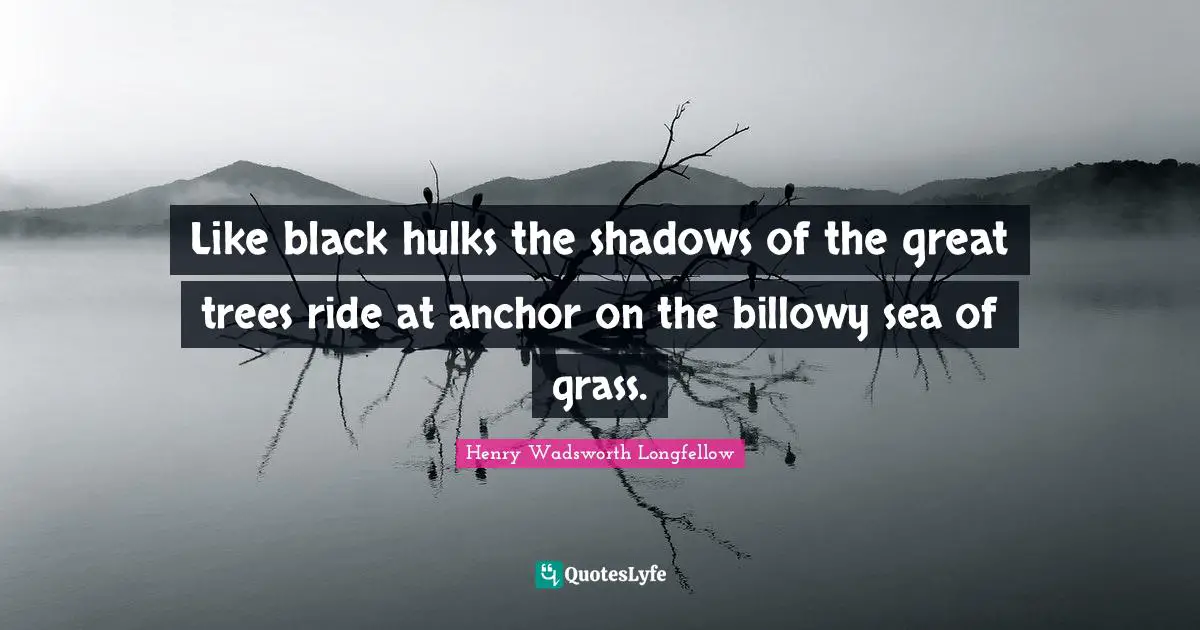 Like black hulks the shadows of the great trees ride at anchor on the billowy sea of grass.