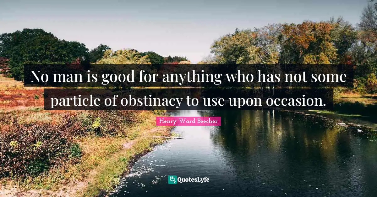 No man is good for anything who has not some particle of obstinacy to use upon occasion.