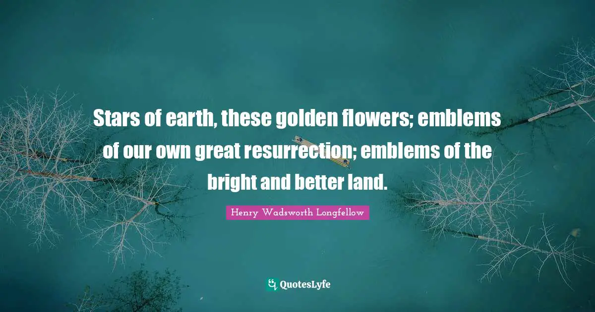 Stars of earth, these golden flowers; emblems of our own great resurrection; emblems of the bright and better land.