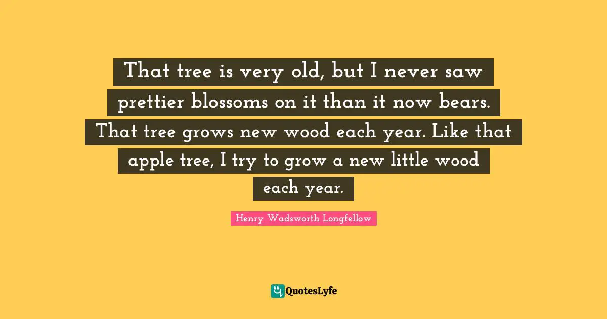 That tree is very old, but I never saw prettier blossoms on it than it now bears. That tree grows new wood each year. Like that apple tree, I try to grow a new little wood each year.