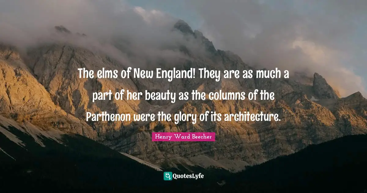 The elms of New England! They are as much a part of her beauty as the columns of the Parthenon were the glory of its architecture.
