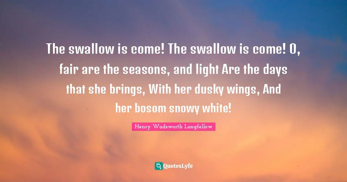 The swallow is come! The swallow is come! O, fair are the seasons, and light Are the days that she brings, With her dusky wings, And her bosom snowy white!