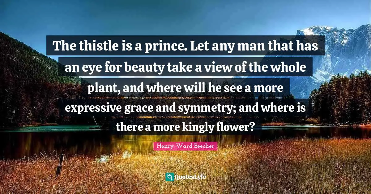 The thistle is a prince. Let any man that has an eye for beauty take a view of the whole plant, and where will he see a more expressive grace and symmetry; and where is there a more kingly flower?