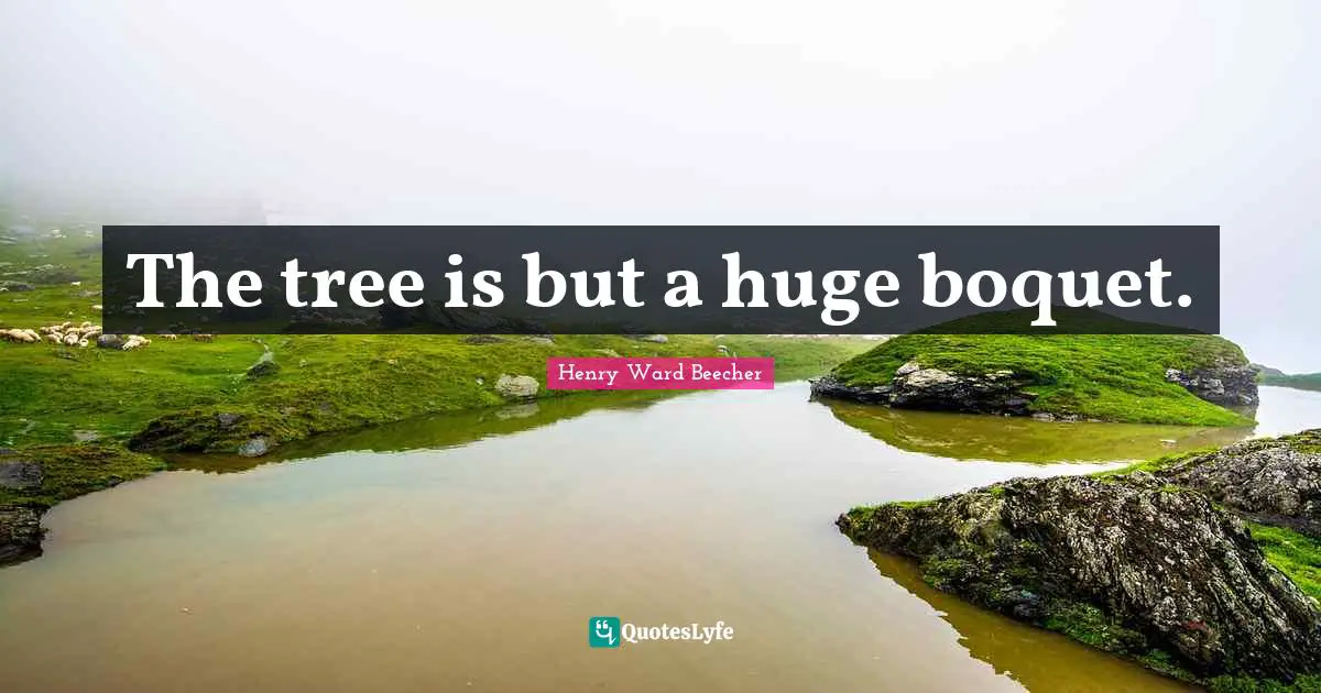 The tree is but a huge boquet.