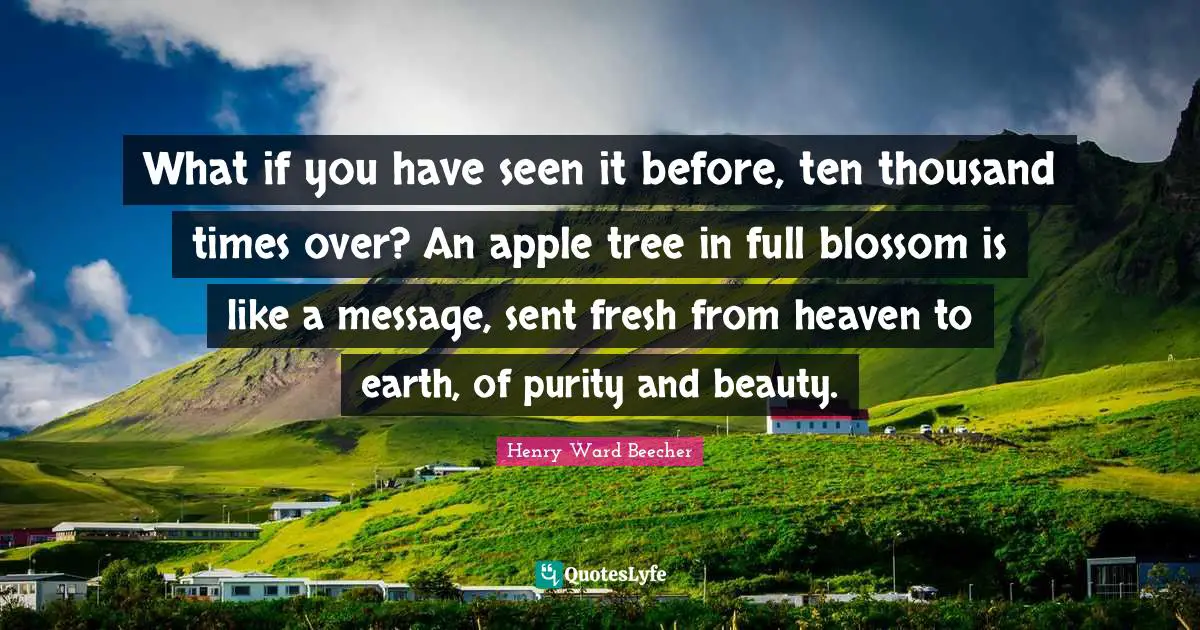 What if you have seen it before, ten thousand times over? An apple tree in full blossom is like a message, sent fresh from heaven to earth, of purity and beauty.