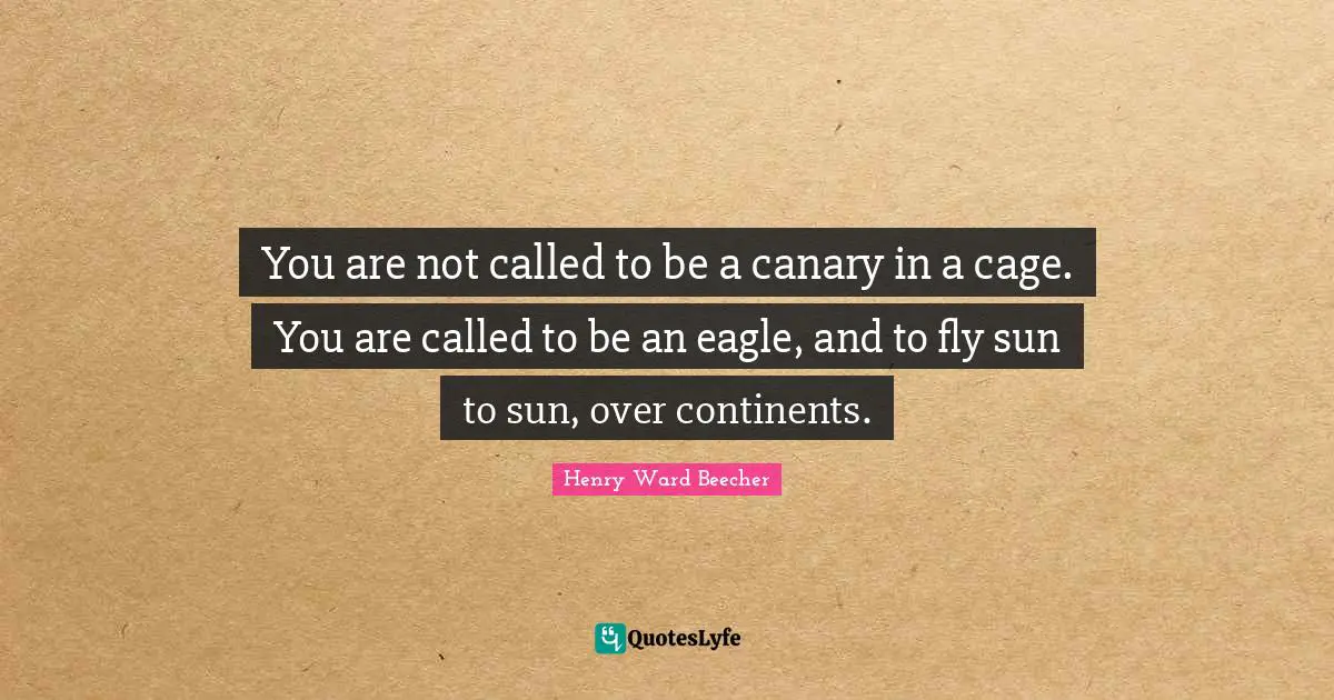 You are not called to be a canary in a cage. You are called to be an eagle, and to fly sun to sun, over continents.