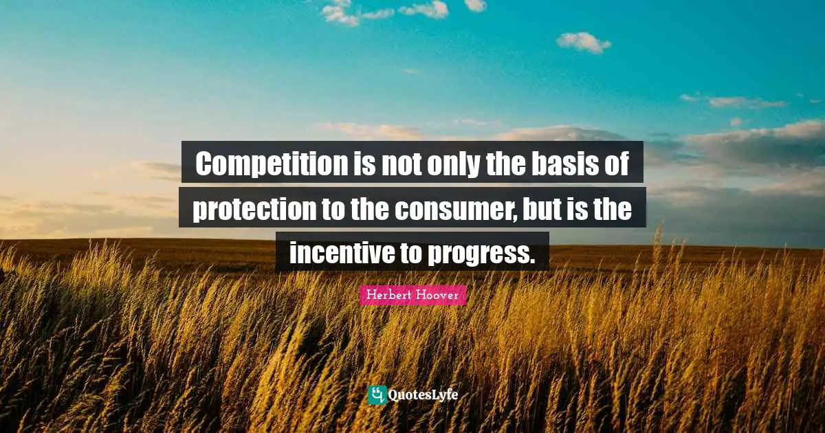 Competition is not only the basis of protection to the consumer, but is the incentive to progress.