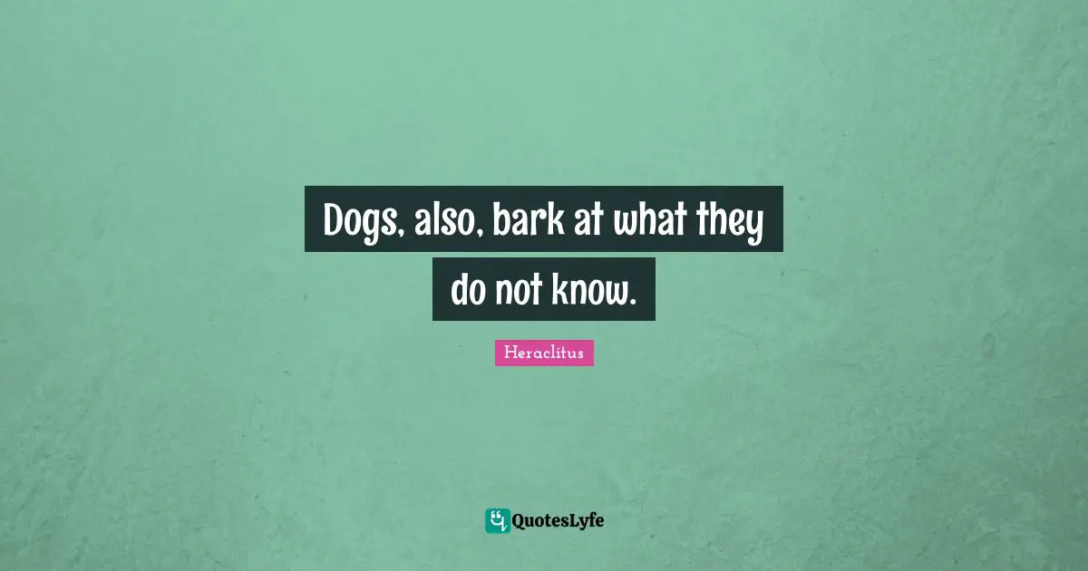Dogs, also, bark at what they do not know.
