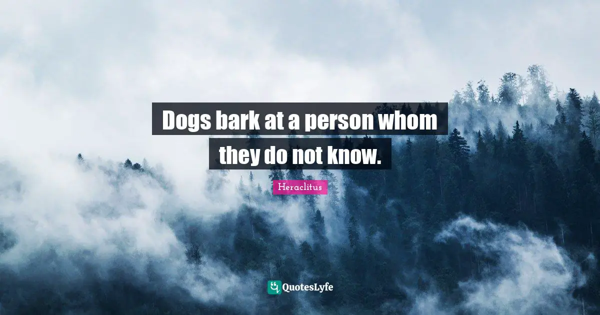 Dogs bark at a person whom they do not know.