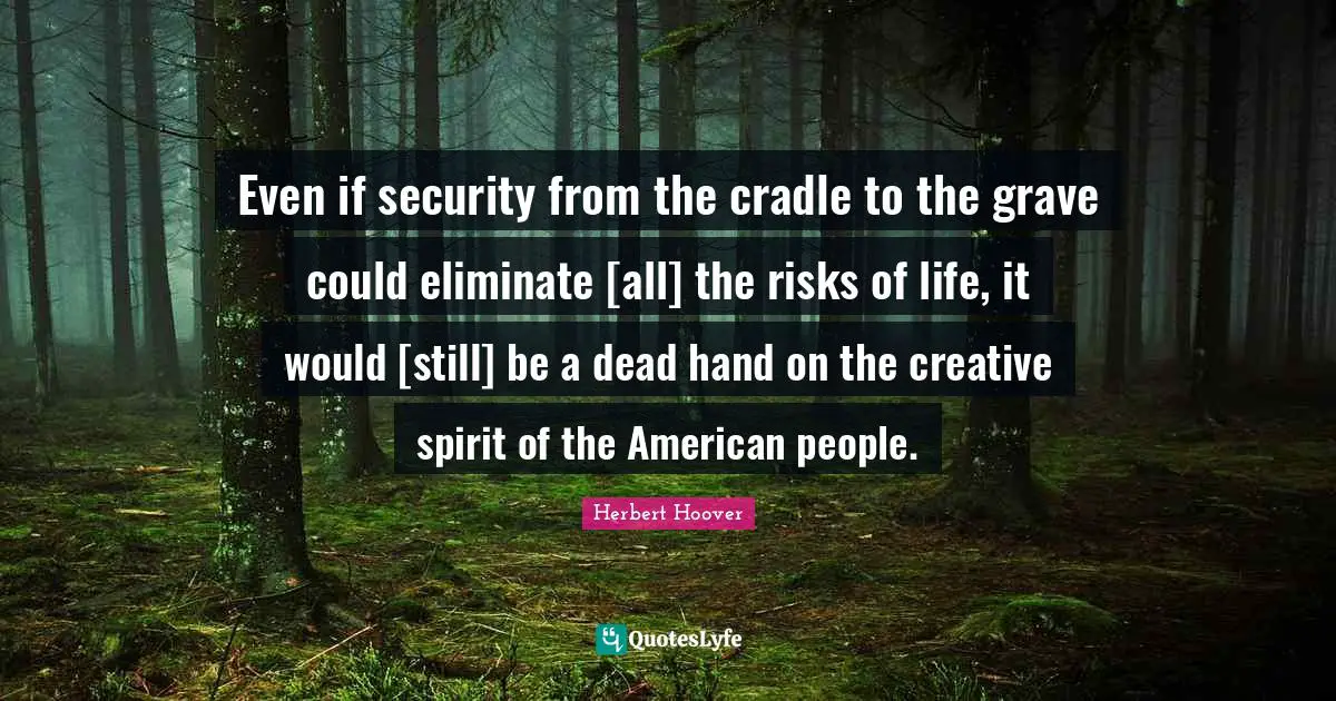 Even if security from the cradle to the grave could eliminate [all] the risks of life, it would [still] be a dead hand on the creative spirit of the American people.