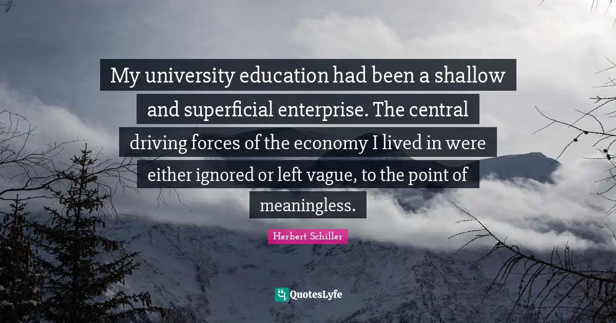 My university education had been a shallow and superficial enterprise. The central driving forces of the economy I lived in were either ignored or left vague, to the point of meaningless.
