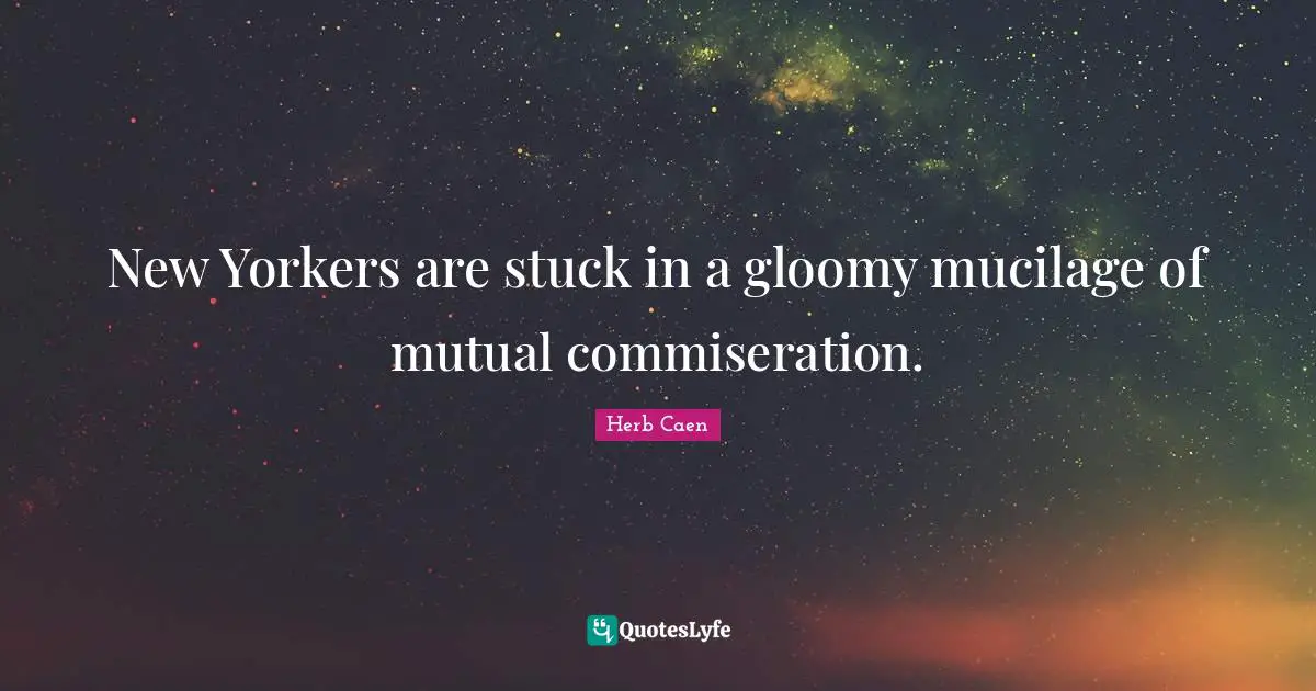 Herb Caen Quotes: "New Yorkers are stuck in a gloomy mucilage of mutual commiseration."