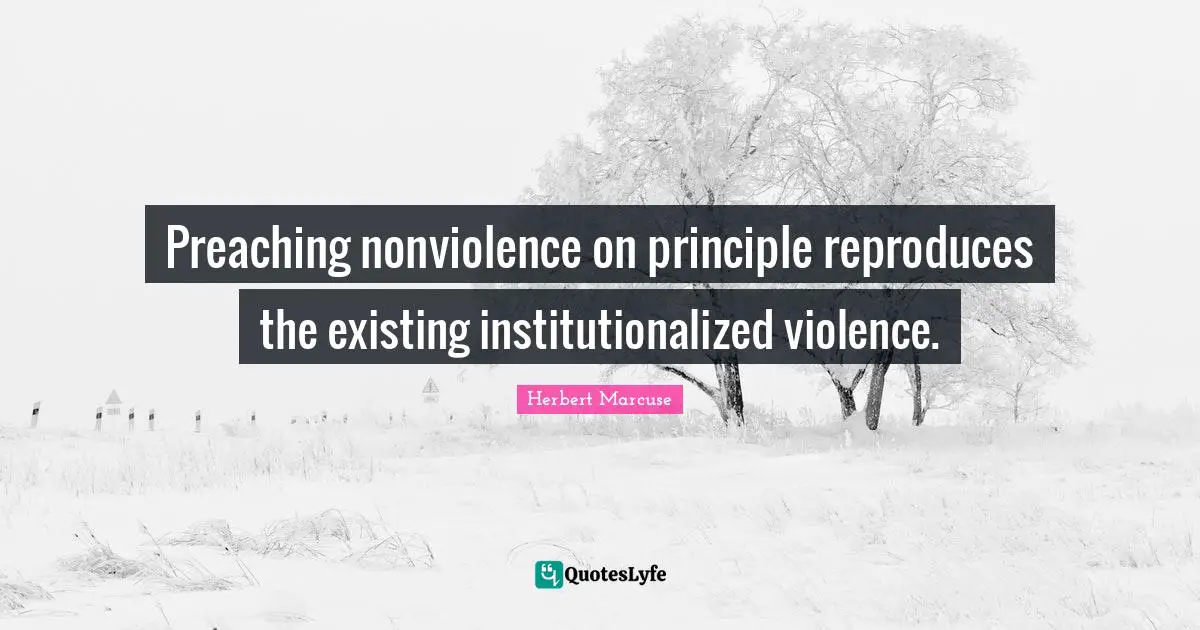 Preaching nonviolence on principle reproduces the existing institutionalized violence.