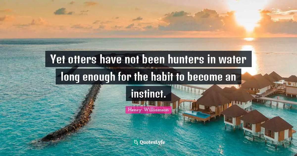 Habit Quotes: "Yet otters have not been hunters in water long enough for the habit to become an instinct."