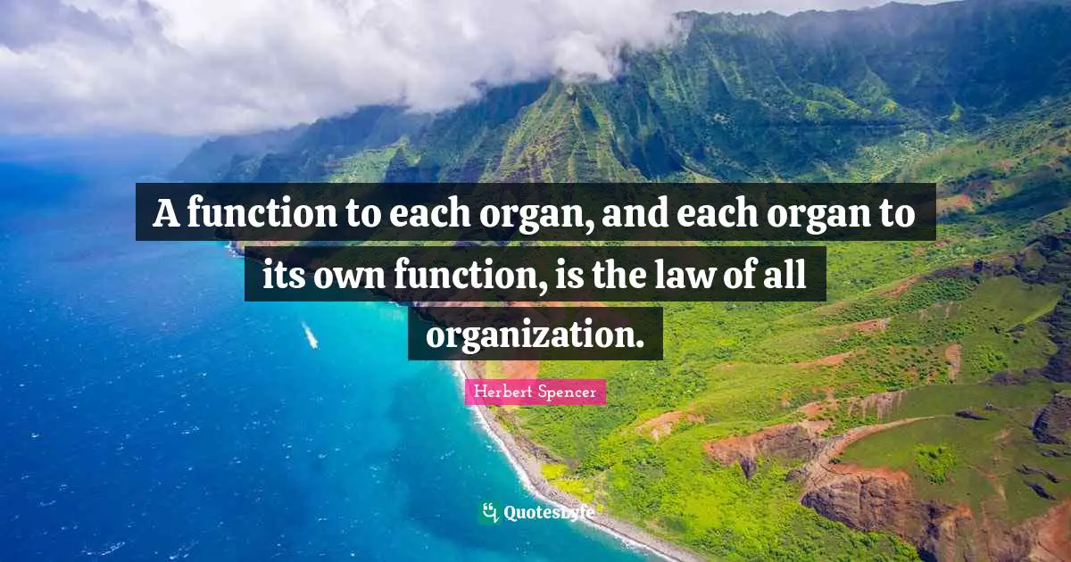 A function to each organ, and each organ to its own function, is the law of all organization.