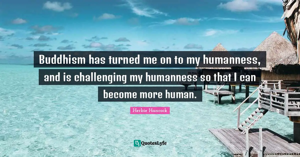 Buddhism has turned me on to my humanness, and is challenging my humanness so that I can become more human.
